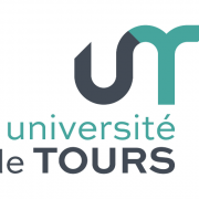 Stage en linguistique de corpus Master 2